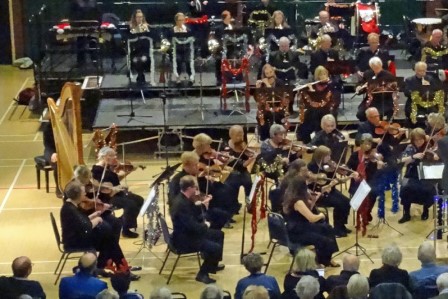 Orchestra in concert, upper strings