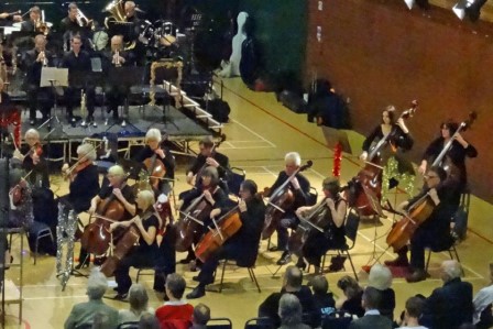 Orchestra in concert, lower strings